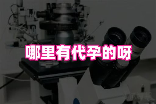 成都助孕网站 1