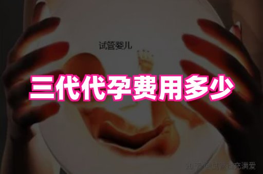 成都助孕网站 2